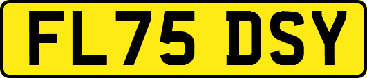 FL75DSY