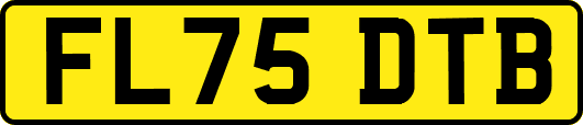 FL75DTB