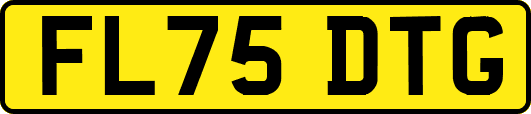 FL75DTG