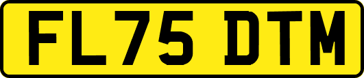 FL75DTM