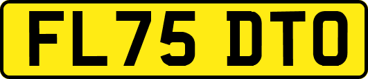 FL75DTO