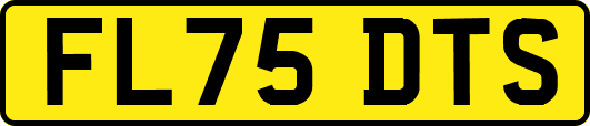 FL75DTS