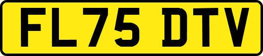 FL75DTV