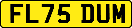FL75DUM