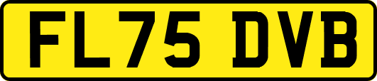 FL75DVB