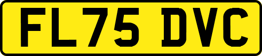 FL75DVC
