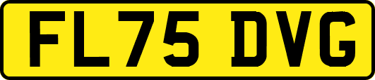FL75DVG