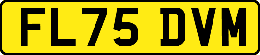 FL75DVM