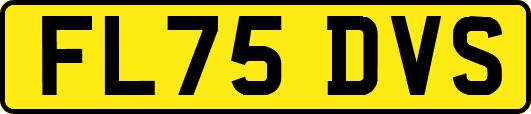 FL75DVS