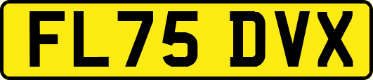 FL75DVX
