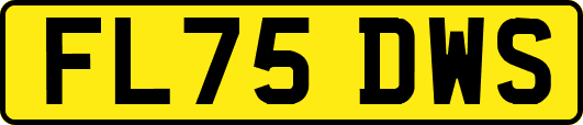 FL75DWS
