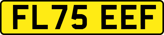 FL75EEF