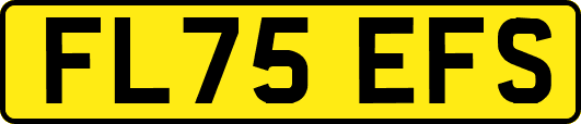 FL75EFS