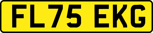 FL75EKG