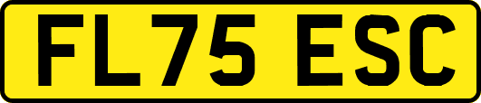 FL75ESC
