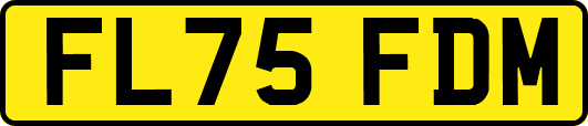 FL75FDM
