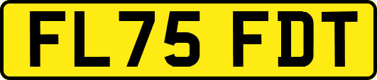 FL75FDT