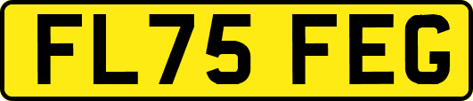 FL75FEG