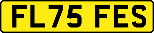 FL75FES