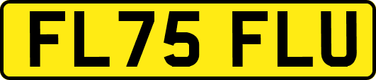 FL75FLU