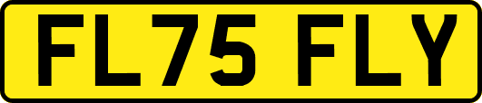 FL75FLY