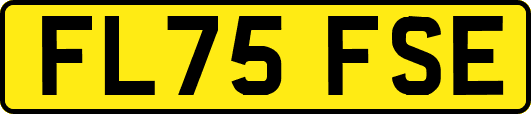 FL75FSE