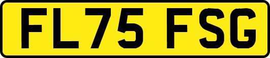 FL75FSG