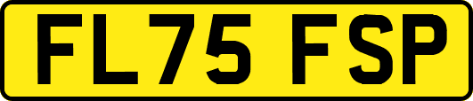 FL75FSP