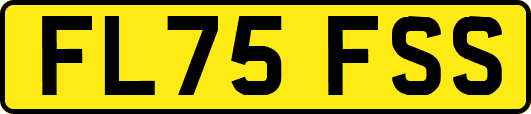 FL75FSS