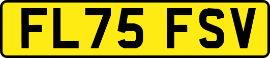 FL75FSV