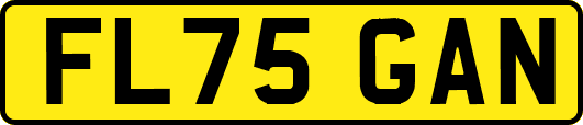 FL75GAN