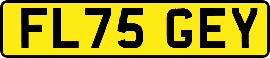 FL75GEY
