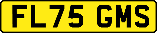 FL75GMS
