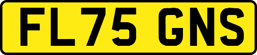 FL75GNS