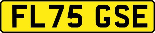 FL75GSE