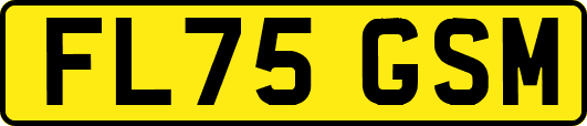 FL75GSM