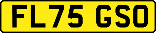FL75GSO