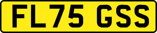 FL75GSS