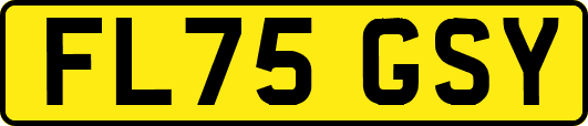 FL75GSY