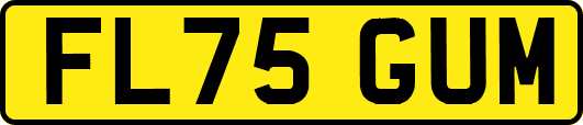 FL75GUM
