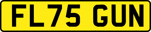 FL75GUN