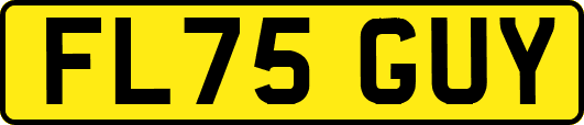 FL75GUY