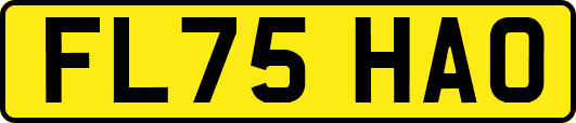 FL75HAO