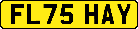 FL75HAY