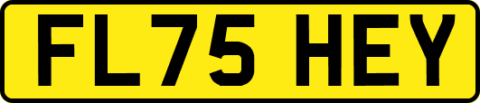 FL75HEY