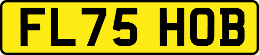 FL75HOB