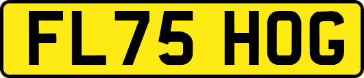 FL75HOG