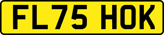 FL75HOK