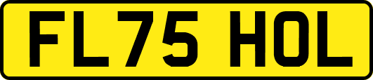 FL75HOL