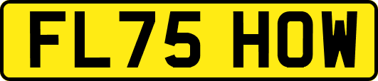 FL75HOW